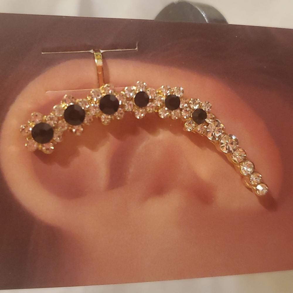 Earring clip